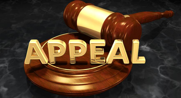 Appeal written in golden on the top of the gavel
