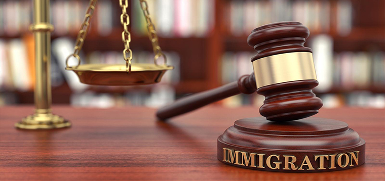 Immigration Litigation and Appeals